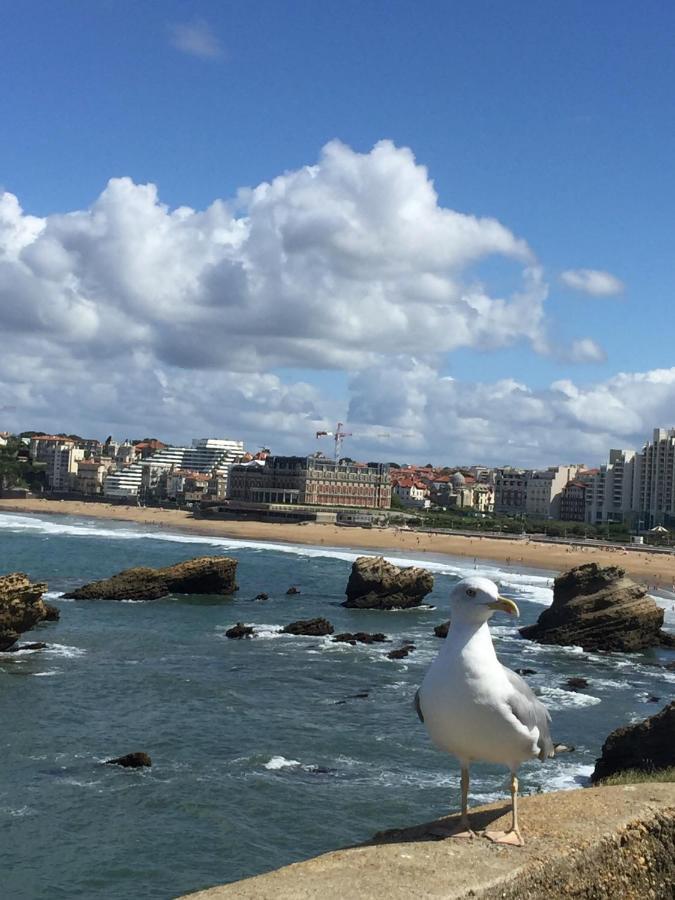 Charmant T2 Biarritz Centre Eksteriør billede